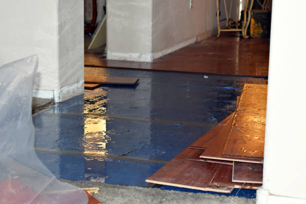 Professional Basement Flood Cleanup technician working in Alton, IL